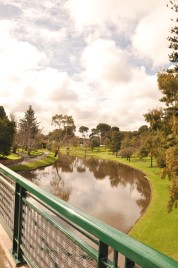 Torrens River, Adelaide